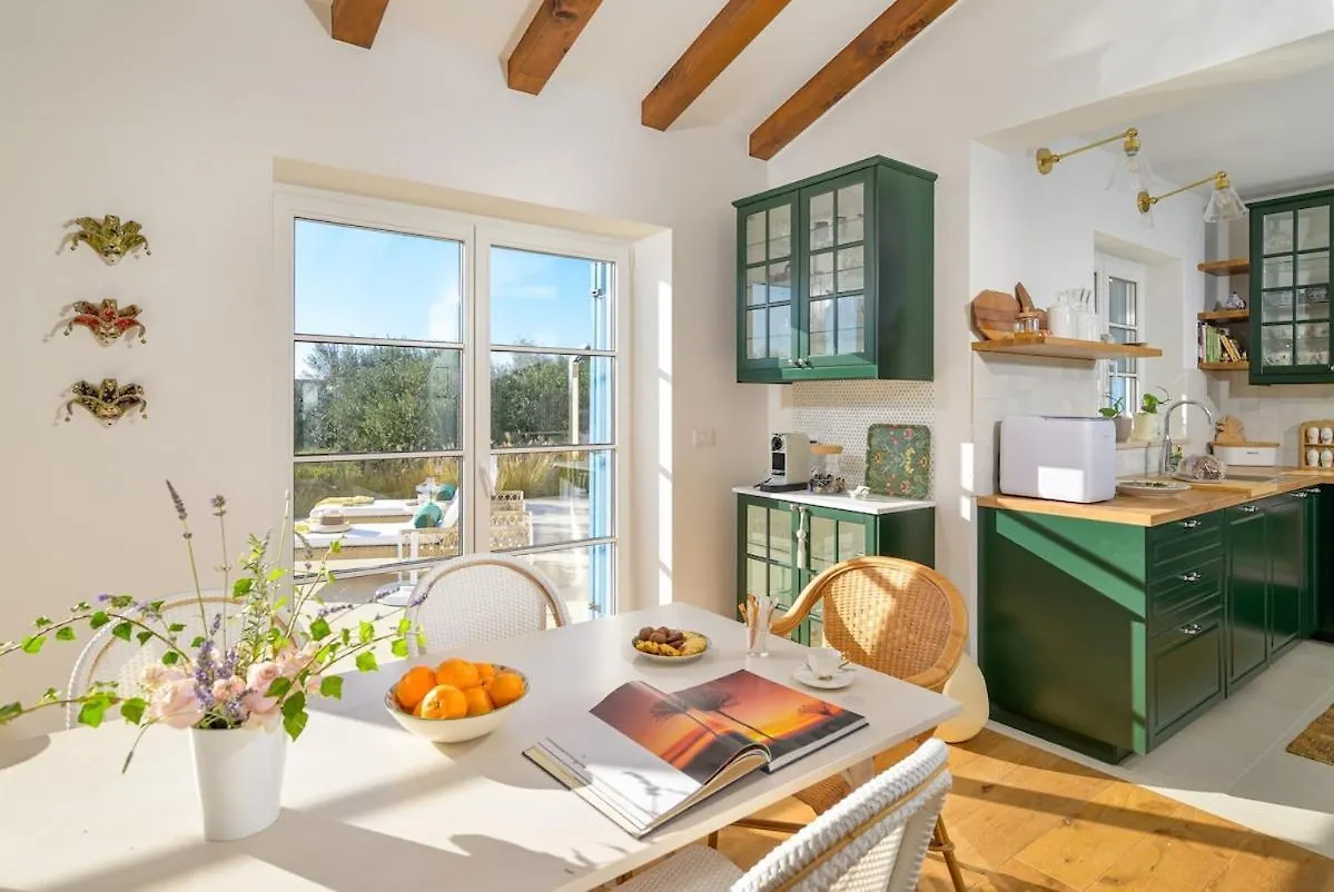 Villa Olive Paradise I By Istrialux Svetvincenat 0*,  Croatia